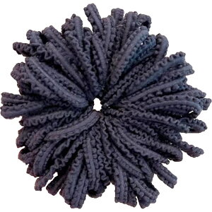  wAS 50Zbg LbY xr[ wAANZT[ ~jS  ~jTCY EF[u Jt  킢 q JoLx ̎q q wAAW