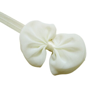  wAoh wA^[o xr[ LbY Ԃ qp wAANZT[ wbhoh { VtH 킢  JoLx sN bh zCg u[   