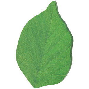  t 2Zbg ӂ p t [  ` bZ[W ItBX pi wZ 킢  Xe[Vi[ G