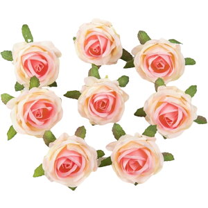   KN ΂ o 4Zbg tFCNt[ Ԃ̂ sȂ Ntg nhCh DIY |   ANZT[ RT[W  p[eB[ JoLx