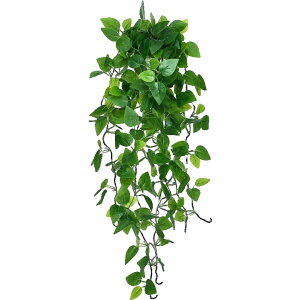  tFCNO[ lHϗtA     Ǌ| ͂Ȃ CeA  A  z[K[f x_