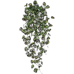  tFCNO[ lHϗtA     Ǌ| ͂Ȃ CeA  A  z[K[f x_