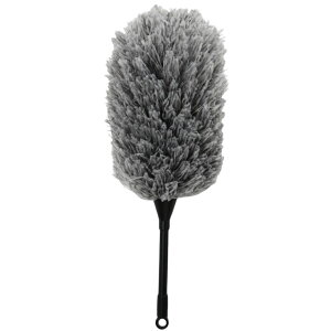  nfBbv pi |p | ~jbv  t@Co[ ق  zR ͂ mg[ O[  Vv   p\R   ԓ