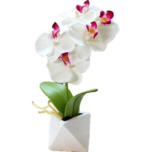   Ӓ R`E   A ~j|bg ~jA C~e[V tFCNt[  rO CeA IV Y ̓