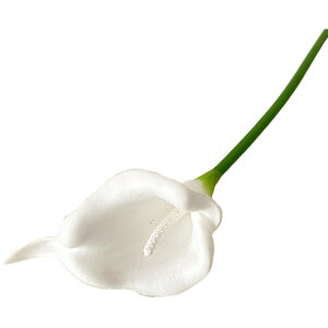   tFCNt[ lH lHt[  t[ ԑ  CeA t[AWg  ꂢ 킢