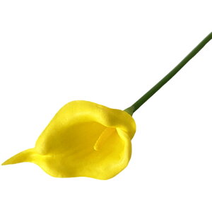   tFCNt[ lH lHt[  t[ ԑ  CeA t[AWg  ꂢ 킢