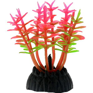  lH 3Zbg lHvc pCAEg yt  ANAEfR[V CeA ANZT[ IuWF I[ig pi CAEgpi 