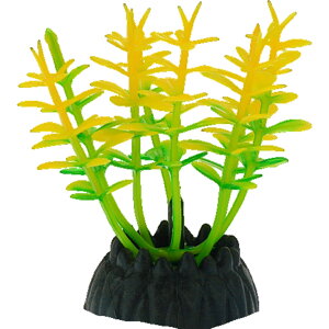  lH 3Zbg lHvc pCAEg yt  ANAEfR[V CeA ANZT[ IuWF I[ig pi CAEgpi 