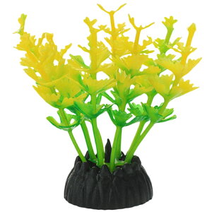  lH 3Zbg lHvc pCAEg yt  ANAEfR[V CeA ANZT[ IuWF I[ig pi CAEgpi 