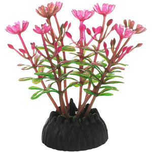  lH 3Zbg lHvc pCAEg yt  ANAEfR[V CeA ANZT[ IuWF I[ig pi CAEgpi 