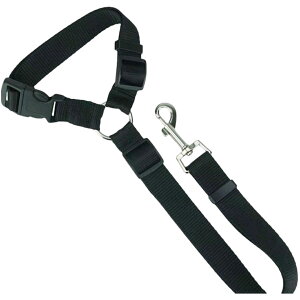  ybgpV[gxg p Lp ԗpxg ԗp[h яoh~ wbhXg n PF Ck lR s o Oo hCupi ybgObY