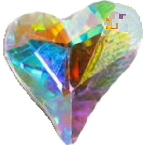  n[g`CXg[ 10Zbg zCg ubN u[ sN LL 킢 |Cg