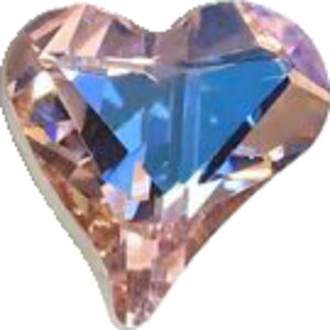  n[g`CXg[ 10Zbg zCg ubN u[ sN LL 킢 |Cg