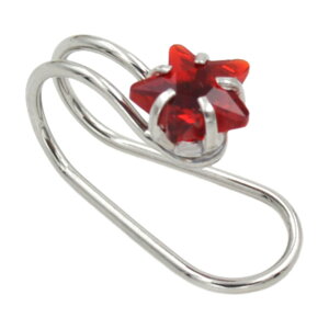  C[Jt C[JtX fB[X  1 Pi Ў ANZT[ mz[sAX C[Nbv ɂȂ ނ JȂ CXg[ rW[ X^[  zCg