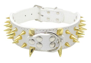   p ybgpi Pi X^bY ^ ^ UObY tFCNU[ qE NR_C  N[ hbO