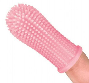  ybgpuV wTbN^ P[Xt  Ck   _炩  L ׋ۏ f^PA a\h oPA