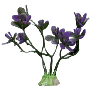  lH lHvc lHA vX`bN 10cm pA ANAE CAEg IuWF  I[ig ybgpi Mы ӏ܋