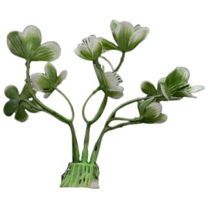  lH lHvc lHA vX`bN 10cm pA ANAE CAEg IuWF  I[ig ybgpi Mы ӏ܋