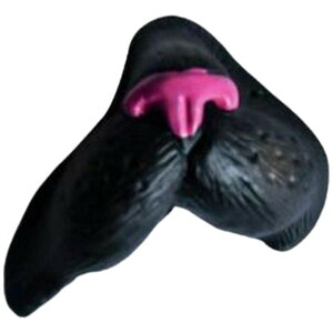  t@ ϑ}XN Soht ؂̕@ ؕ@ u^̕@ Ԃ̕@ Aq  JG lY~ Ck  Aj} ObY ϑObY RXvߑ RXvObY A W