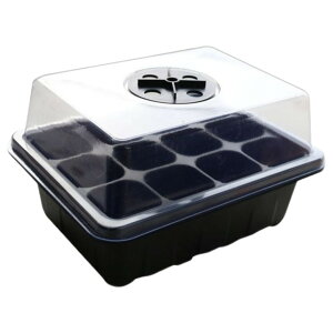  c|bg 12 Pi cg[ cgC Wt ؂t Jo[ ʋC c K[fjO A ͔|  ƒ؉ 