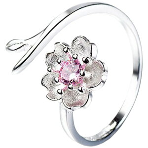  w I[vO ANZT[ fB[X p CXg[ F Vo[J[   t[ \ J 킢  Mtg LO a v[g 