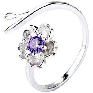  w I[vO ANZT[ fB[X p CXg[ F Vo[J[   t[ \ J 킢  Mtg LO a v[g 