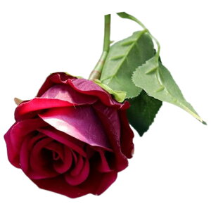   tFCNt[ Pi 1{ o t[AWg A[eBtBVt[ A[gtA[ ԏ  CeAG tHg ʐ^Be ̓ v[g Mt