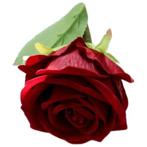   tFCNt[ Pi 1{ o t[AWg A[eBtBVt[ A[gtA[ ԏ  CeAG tHg ʐ^Be ̓ v[g Mt