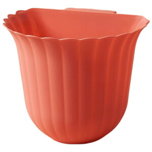  S~ _Xg{bNX | Lb`pi 䏊pi   Vv  Ԃ牺 OpR[i[  ֗ ƒp