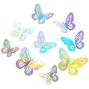  3DEH[XebJ[ EH[XebJ[ 12Zbg ʃe[vt e[vt  3D  X ǎV[ o^tC 傤 傤傤 ~[ I[ LL  