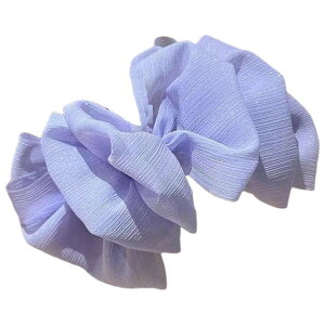  oXNbv fB[X wAANZT[ 傫 Ԃ VV { ӂӂ ݊ I 킢  tF~j  lq