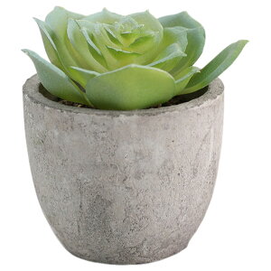  tFCNO[ lHϗtA A A ~j ^   sv C~e[V CeA p 