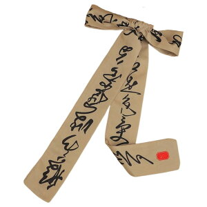  }WFXe 񂴂  { XJ[t fB[X  wAANZT[   I[o O `Ci l  ؂₩ i