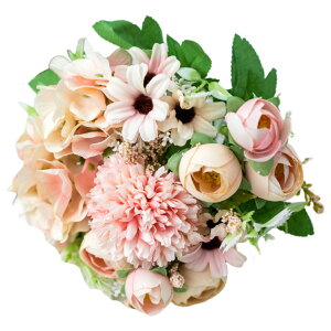    t[ KN o O Q ڂ  킢 ԑ u[P JoLx  rO t[AWg CeA