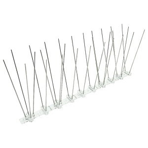  gQ}bg hlbg h΍ hpi x_  肷 S~Xe[V gQgQ 悯 th~ ng JX Nh