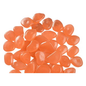    50Zbg ANAEpi p  ~   Mы  ԕr u  Jt Xg[  ꂢ  