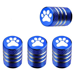  ^CouLbv F4Zbg GA[ou Lbv Jo[  J[ObY J[pi ] ouJo[ ^C  킢 Vv