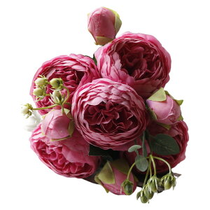   tFCNt[ 1 5֕ Pi t[AWg ԑ ͂Ȃ ԏ  DIY CeAG KN o O {^ ؂₩ t[ hCt[   