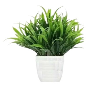  lHϗtA tFCNO[  Aؔ  ͂Ȃ A |bgt A u u  Mtg v[g 蕨 CeA