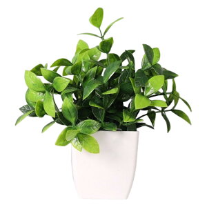  lHϗtA tFCNO[  Aؔ  ͂Ȃ A |bgt A u u  Mtg v[g 蕨 CeA