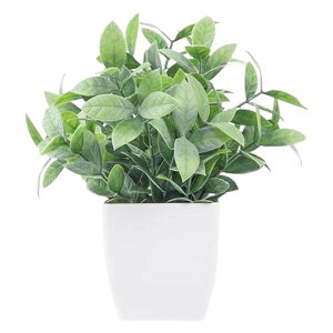  lHϗtA tFCNO[  Aؔ  ͂Ȃ A |bgt A u u  Mtg v[g 蕨 CeA