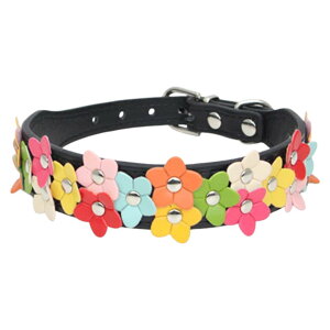   p ybgp Pi J[ `[J[ xg U[ TCY߉\ ^ ^  t[ Jt L[g |bv  JWA 킢 o 