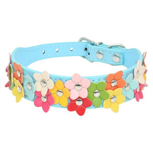   p ybgp Pi J[ `[J[ xg U[ TCY߉\ ^ ^  t[ Jt L[g |bv  JWA 킢 o 