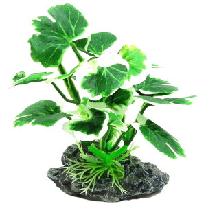  lHvc lH ANAEpi   Ϗ܋ Mы ঒ B tFCNO[ ybgpi ϗtA