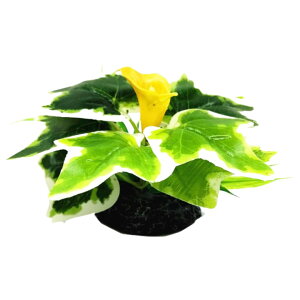  lHvc lH ANAEpi   Ϗ܋ Mы ঒ B tFCNO[ ybgpi ϗtA