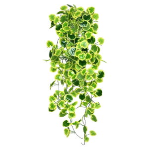  tFCNO[ lHϗtA ϗtA Ǌ| ݂艺 100cm 1m 傫 EH[O[ O[pl ǖʗΉ [t  CeA p 