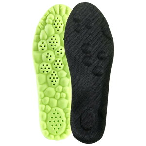  C\[ ~ qp LbY WjA NbV \tg ʋC y C Xj[J[ w qǂ ǂ C ی X|[c ^ jO