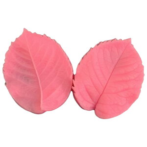  VR[h VR^ ʐ^ Ԃт t t[ [t nhCh W Ό  Sy | ANZT[p[c