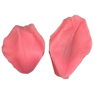  VR[h VR^ ʐ^ Ԃт t t[ [t nhCh W Ό  Sy | ANZT[p[c