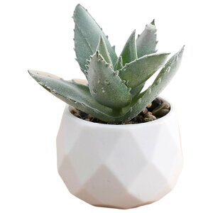  tFCNO[  CeAG u   A ^  p O[ sN CG[  L[g  i` {^jJ